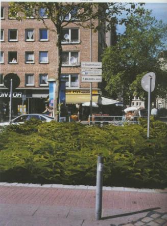 70.000 Cannabis für Kassel - Wissen, was einem blüht