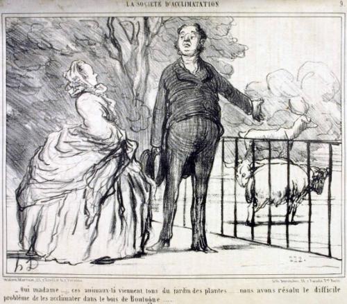 Oui madame ....., ces animaux-là viennent tous du jardin des plantes ...... nous avons résolu le difficile problème de les acclimater dans le bois de Boulogne ......