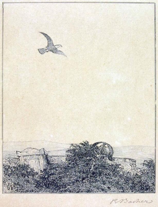 Rudolf Bacher