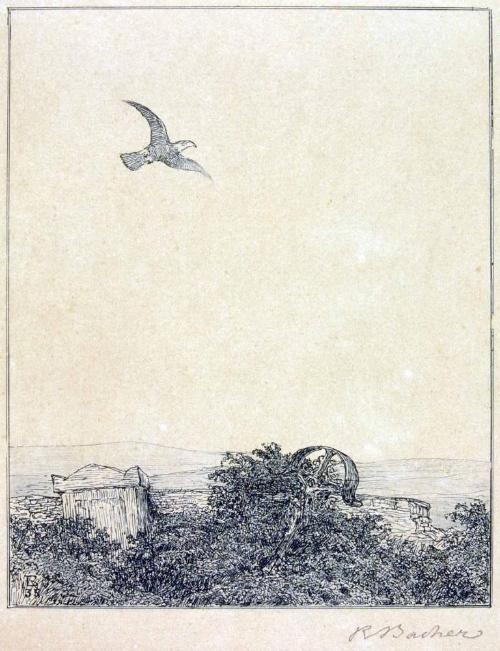 Rudolf Bacher