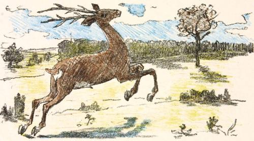 Springender Hirsch
