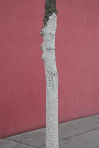Weiß und Rot