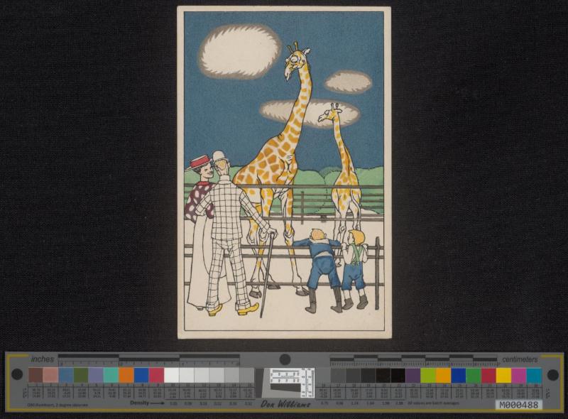 Wien - Schönbrunn (Giraffengehege)