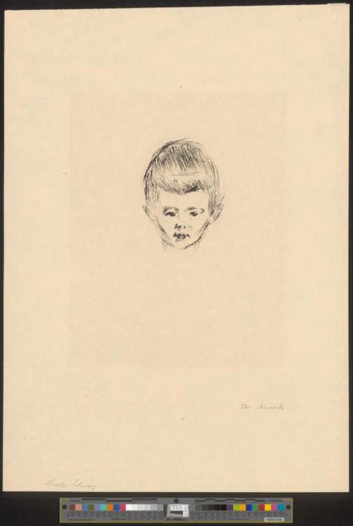 Knabenbildnis Andreas Schwarz