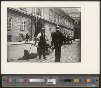 Der Hund als Zugtier 1