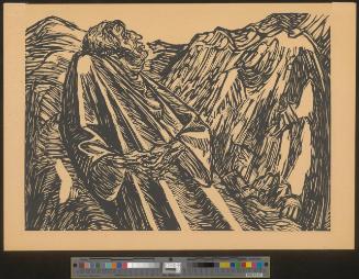 Die Felsen