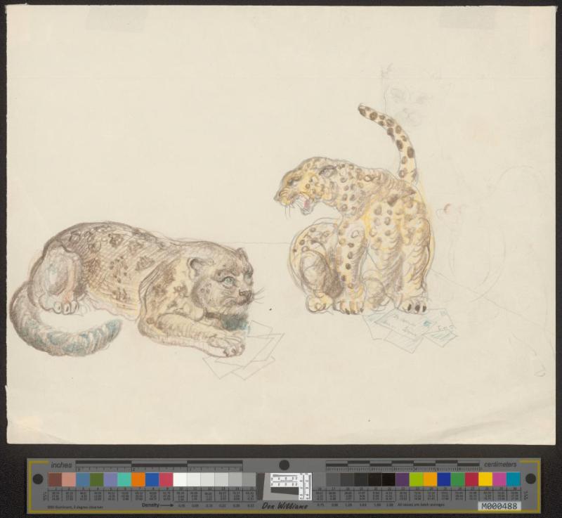 Panther