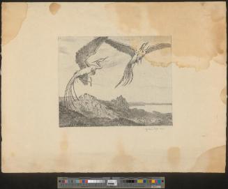Wundervogel II