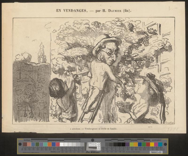 A  Asnières. Vendangeant sa treille en famille.