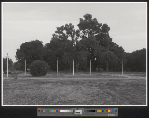 Sabaudia_Parco di Piazza Roma_5