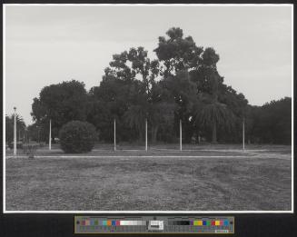 Sabaudia_Parco di Piazza Roma_5