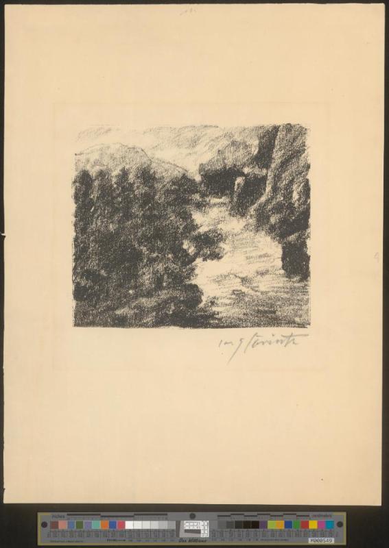 Wildbach