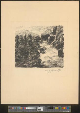Wildbach