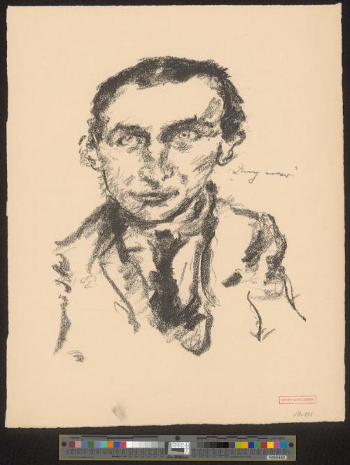 Der Maler Arthur Degner