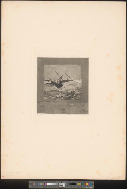 Meer