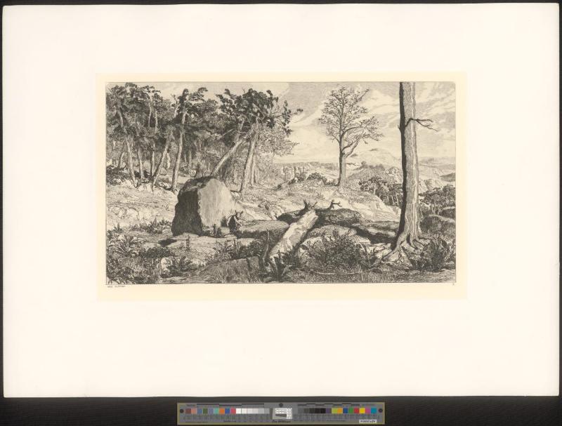 Simplicius in der Waldeinöde