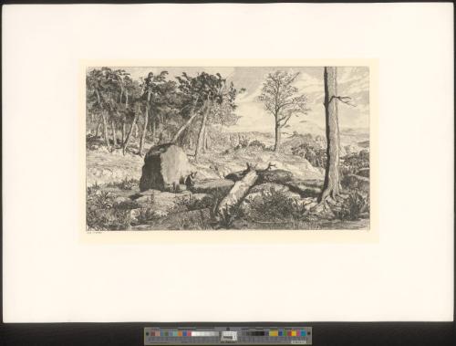 Simplicius in der Waldeinöde