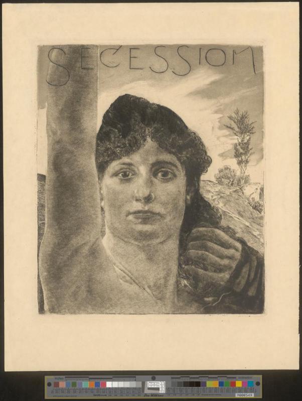 Umschlagtitel „Secession“