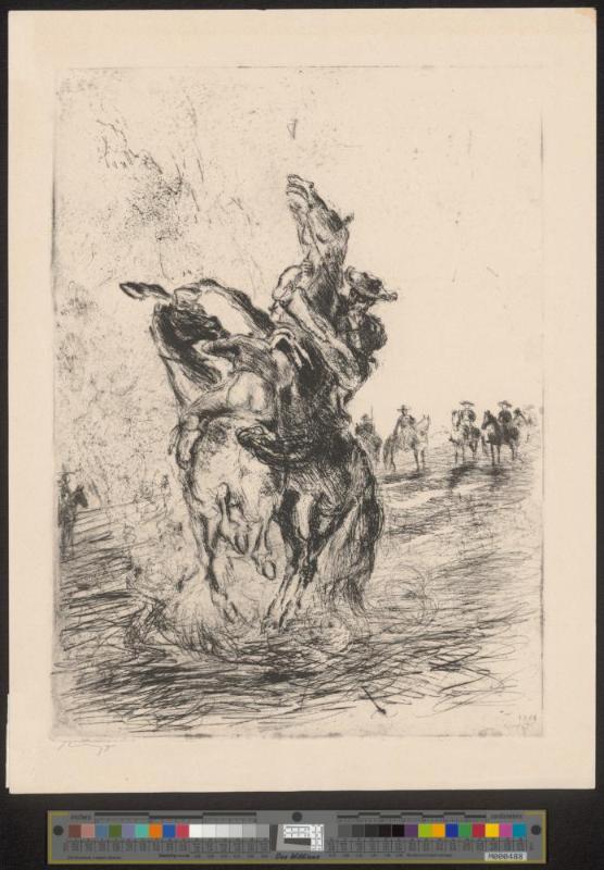 Reiter