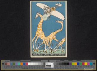Unblutige Jagd auf Giraffen