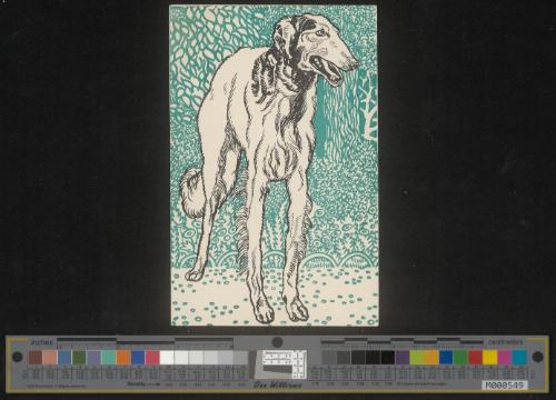 Windhund