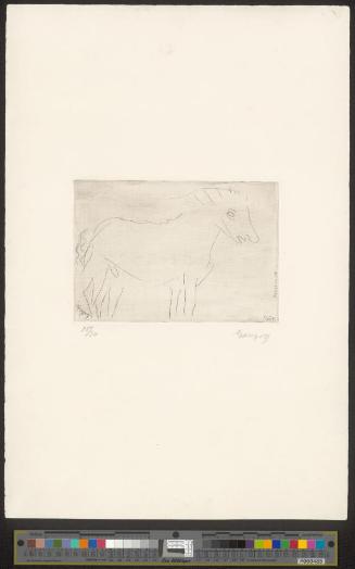 Pony
