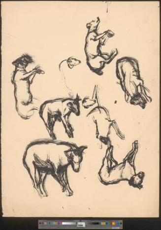 Hunde