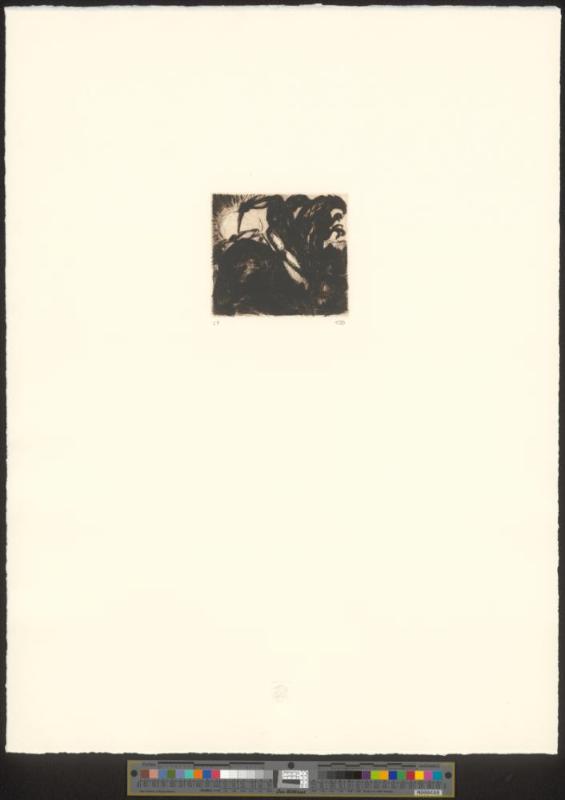 Kampf