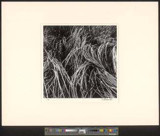 Ohne Titel