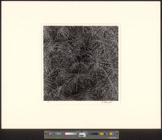 Ohne Titel