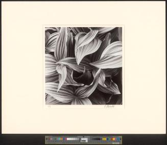 Ohne Titel