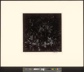 Ohne Titel