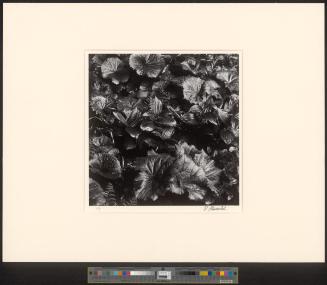 Ohne Titel