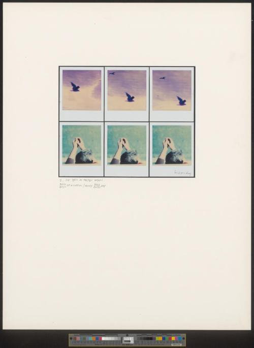 aus der Serie „First and Second Hand Realities (Myths). 10 polaroid poems"