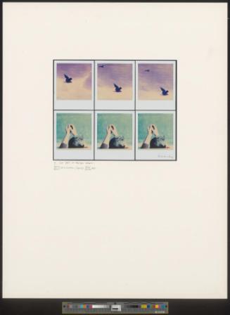aus der Serie „First and Second Hand Realities (Myths). 10 polaroid poems"