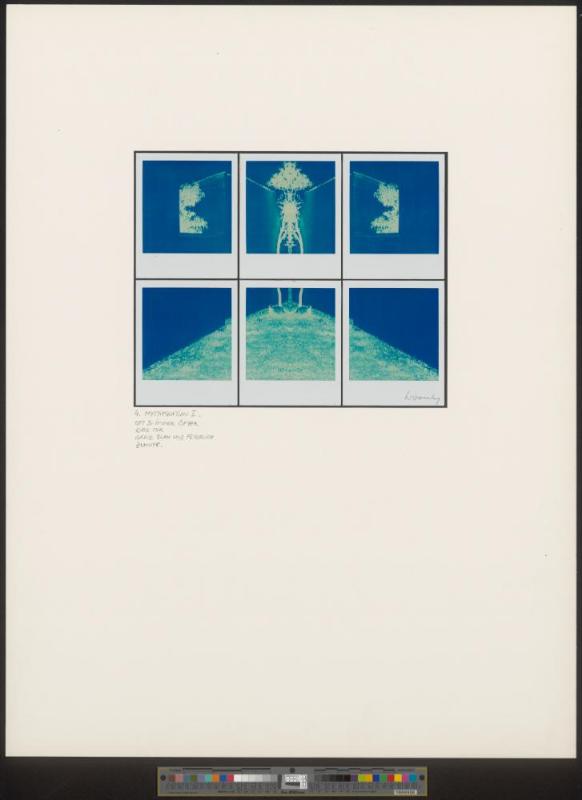 aus der Serie „First and Second Hand Realities (Myths). 10 polaroid poems"