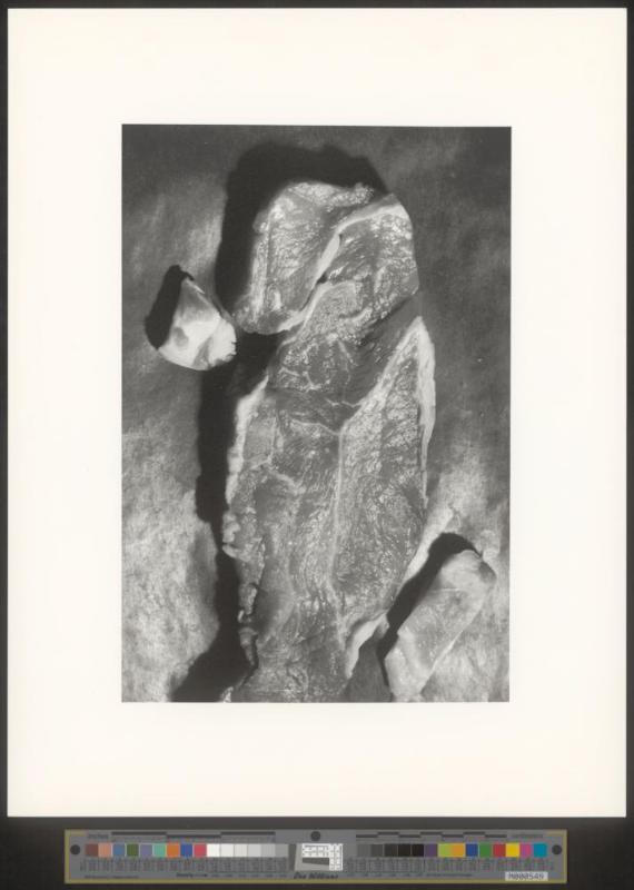 Diverse Fotos Auflage der griffel kunst