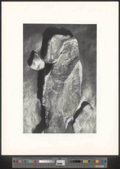 Diverse Fotos Auflage der griffel kunst