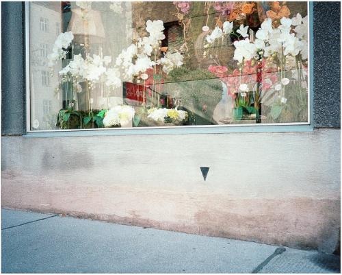 Black Triangle No. 80