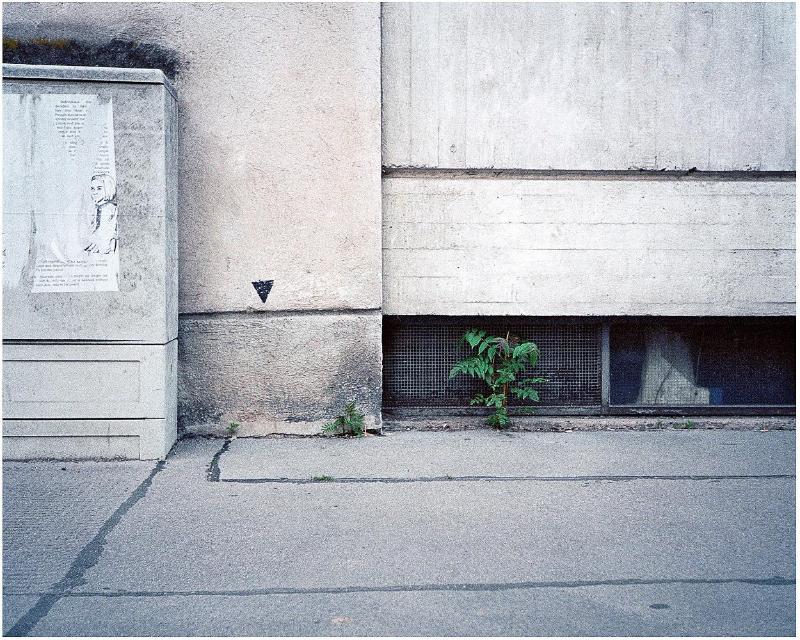 Black Triangle No. 98