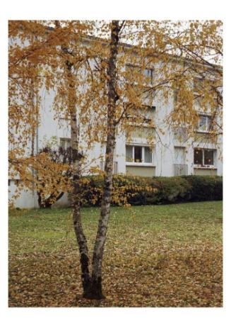 Camp de la route de Limoges, Poiters