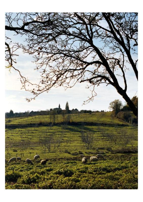 Camp de Saint-Germain-les-Belles, St. Germain-les-Belles