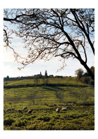 Camp de Saint-Germain-les-Belles, St. Germain-les-Belles