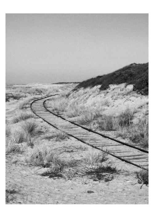 Rails, Le-Verdon-sur-mer