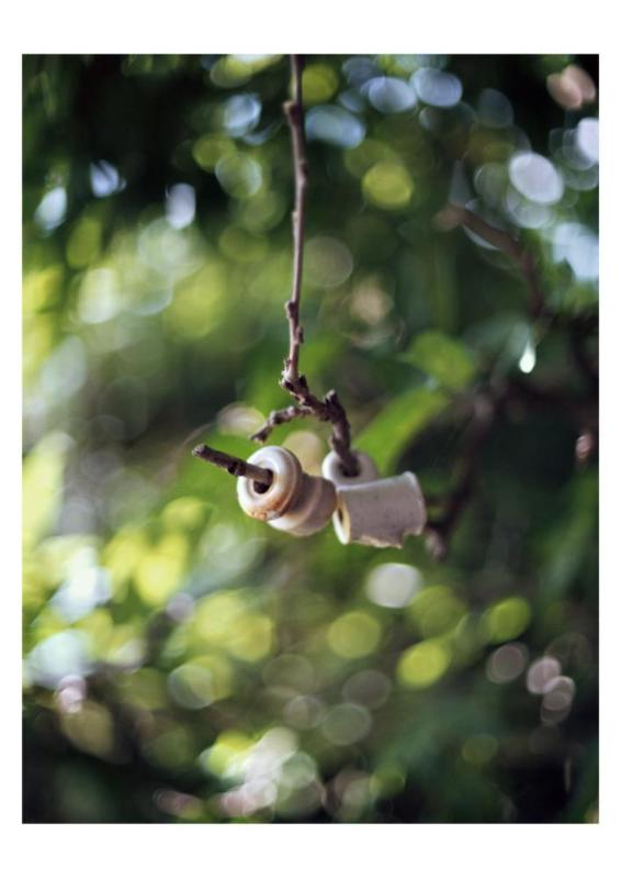 Isolateurs, Marsaulhomme