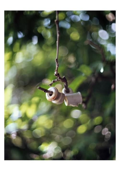 Isolateurs, Marsaulhomme