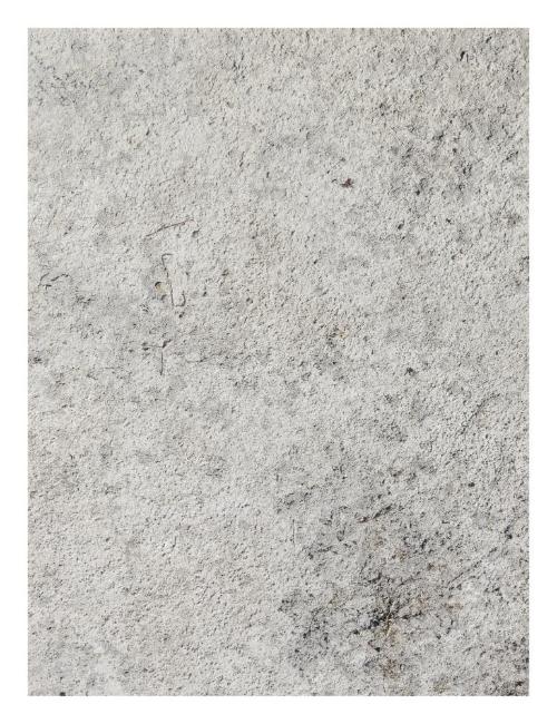 Kritter #5